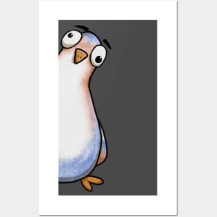 Curious Pigeon Stare Posters and Art